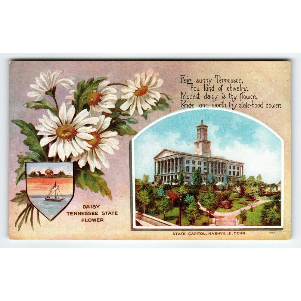 Vintage Tennessee State Capitol & Daisy Flower Postcard, Nashville